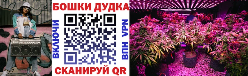 продажа наркотиков Жирновск Каннабис THC 21%